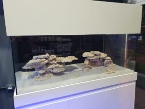 WhatsApp-Image-2020-12-07-at-15.47.14